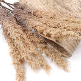 Reed Pampas Grass Stem 105cmH